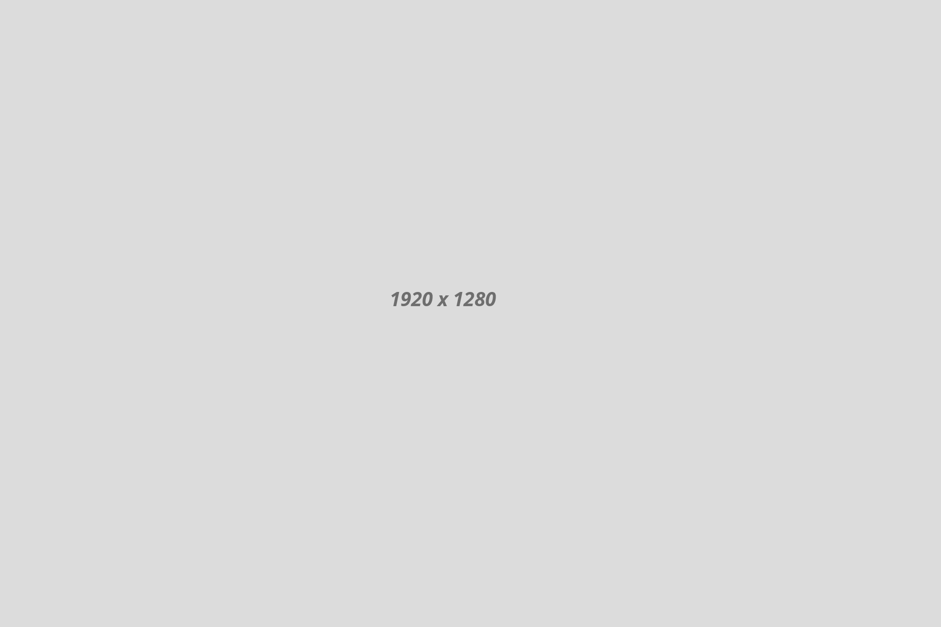 banner01 banner01